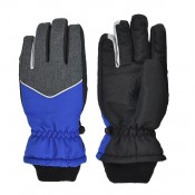 SKI AND SNOWBOARD GLOVES